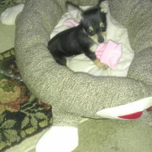 Meet your Posher, Leslie